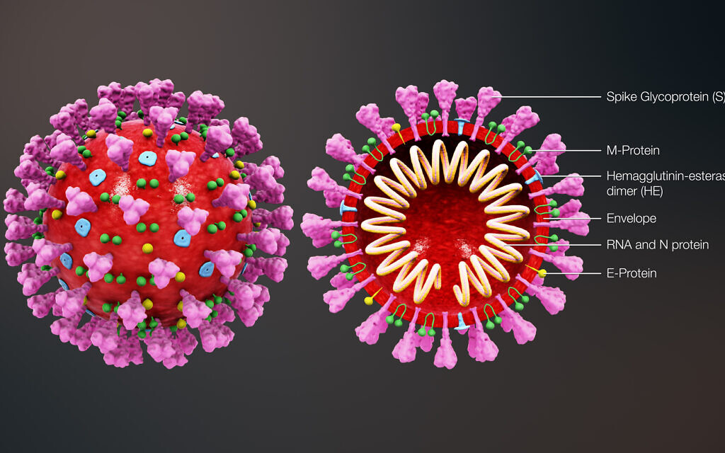 Az exponenciális növekedés vége: A koronavírus terjedésének csökkenése